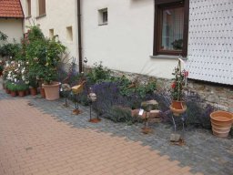 Offene Höfe 2011